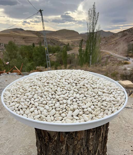 Fasulye (İri taneli)